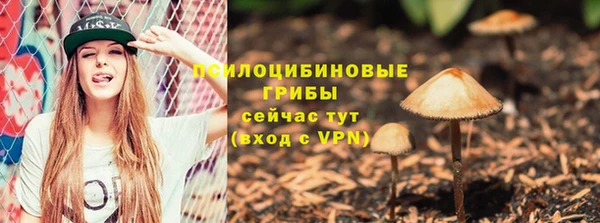 альфа пвп Магас