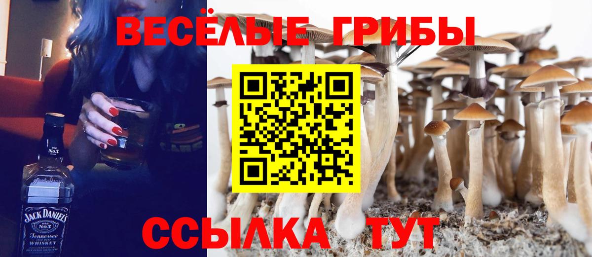 Галлюциногенные грибы GOLDEN TEACHER  Вход с VPN  Каменск-Уральский  Псилоцибиновые грибы Cubensis 